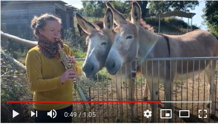 Interaktive Dokumentation